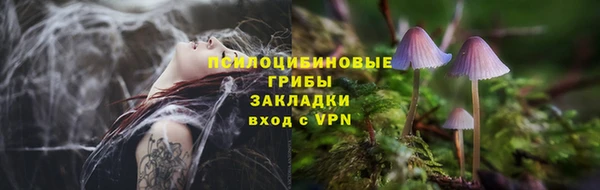 МДМА Бородино