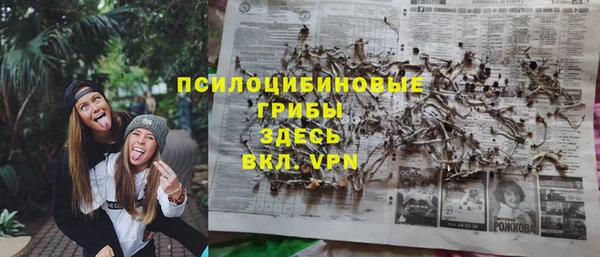 МДМА Бородино