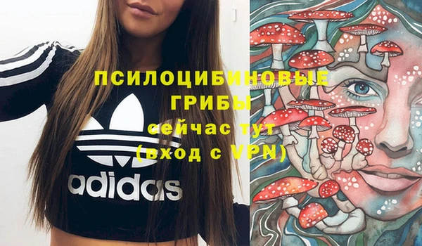 МДМА Бородино