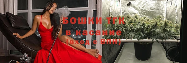 МДМА Бородино