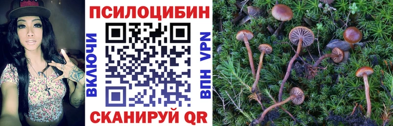 Галлюциногенные грибы прущие грибы  Константиновск 